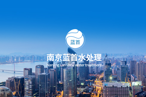 禹城建站-南京蓝首水处理设备有限公司